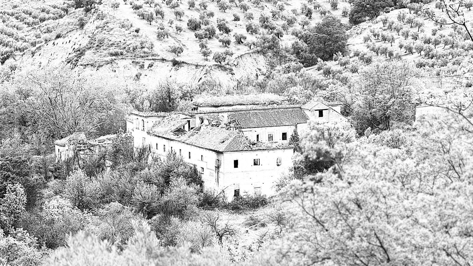 La hacienda entre olivos y arbolado, en blanco y negro